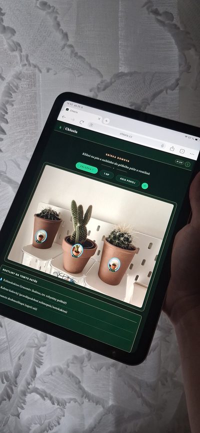 iPad s Chloris: fotka poličky s kaktusy a piny přímo na květináčích