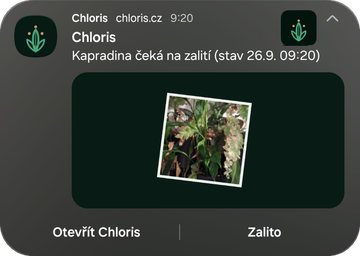 Notifikace Chloris: Kapradina čeká na zalití, s fotkou a tlačítkem Zalito